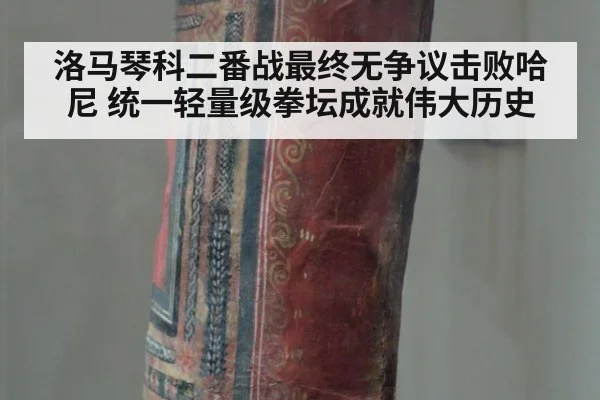 洛马琴科二番战最终无争议击败哈尼 统一轻量级拳坛成就伟大历史